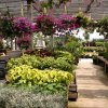 Riding Nurseries